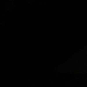 Meet your Posher, Shana